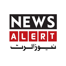 download (1).png